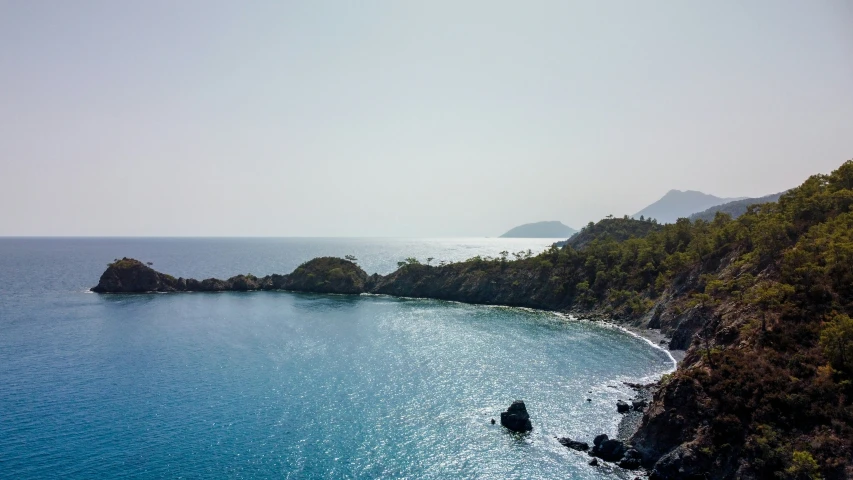 the shore of an ocean with several trees on it