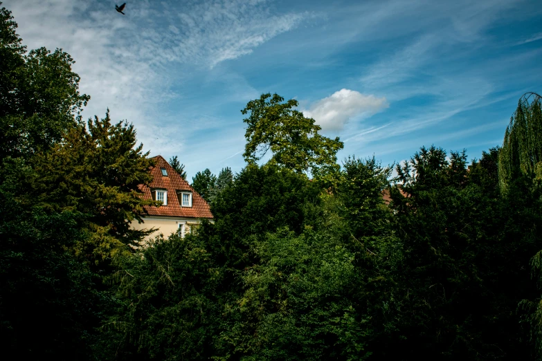 a house is framed by trees as birds fly