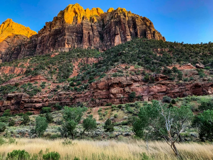 tall mountains with trees at sunset next to brush