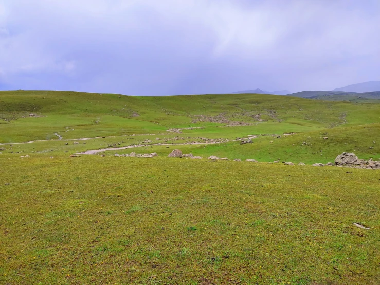 an open grass area with mountains in the background