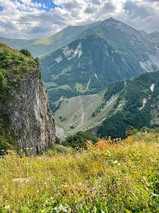 a very tall mountain with some grass and bushes