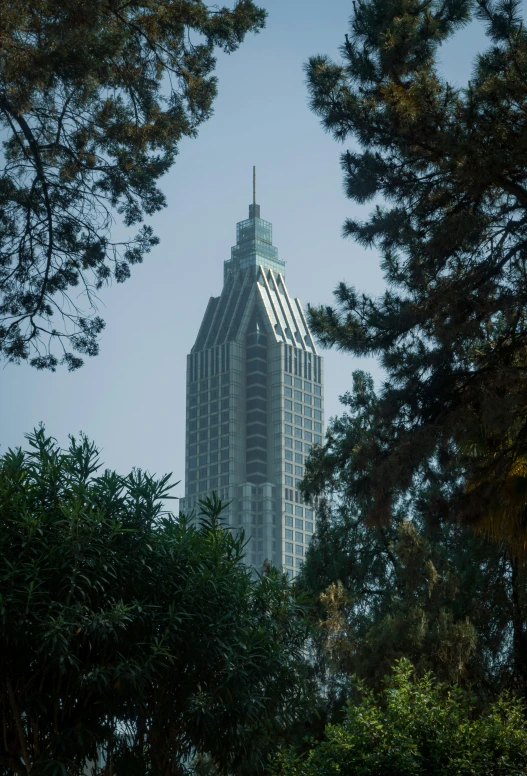 a tall building with many windows is behind trees