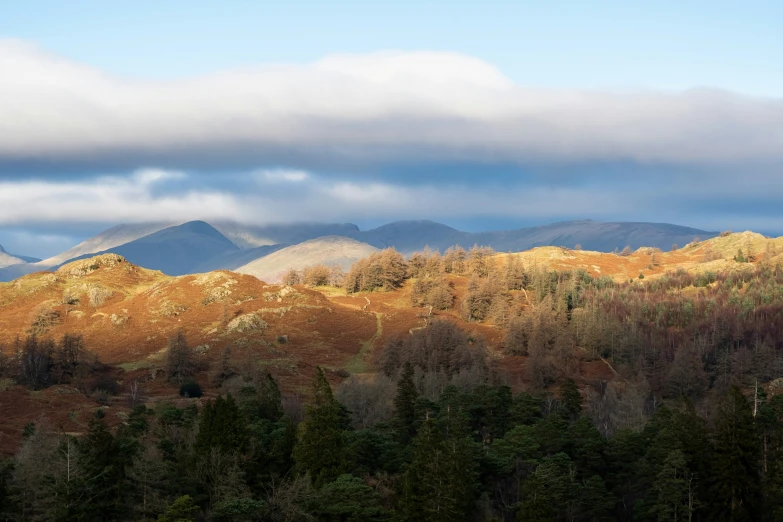 the mountains can be seen in the distance in the foreground