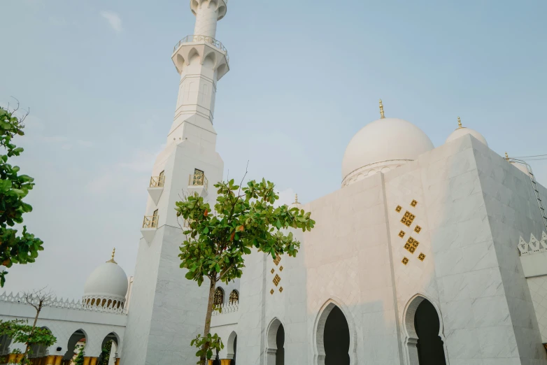 a tall white building with a dome and tree outside