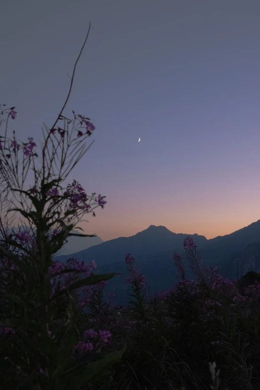 a beautiful sunset with the moon rising in the background