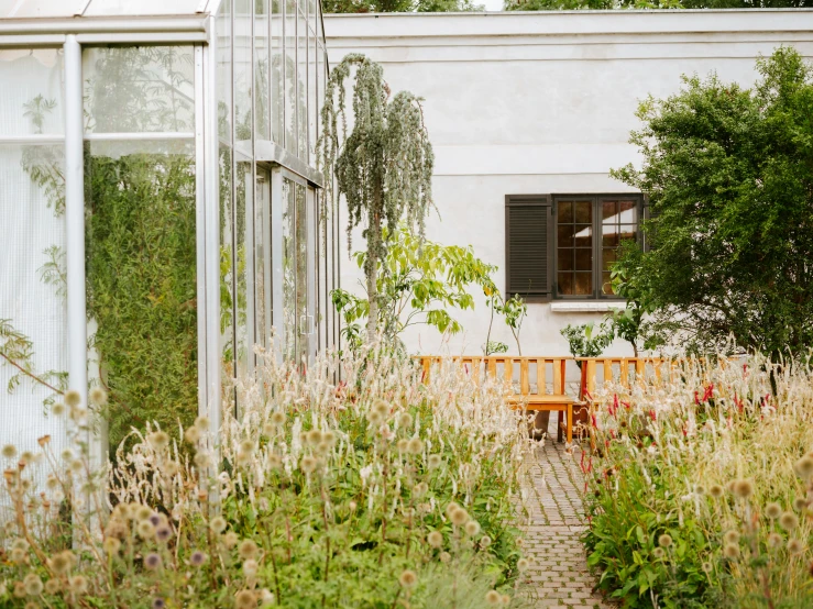 an open white walled courtyard has trees, flowers and windows