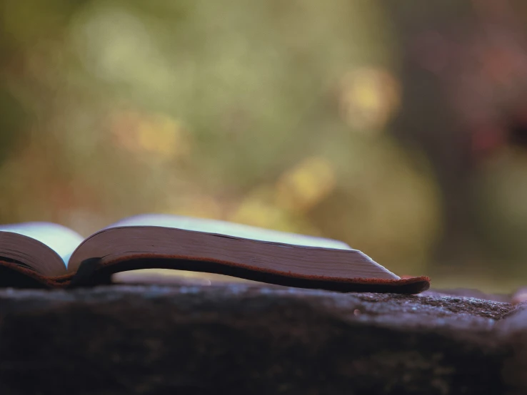 a wooden bench topped with an open book