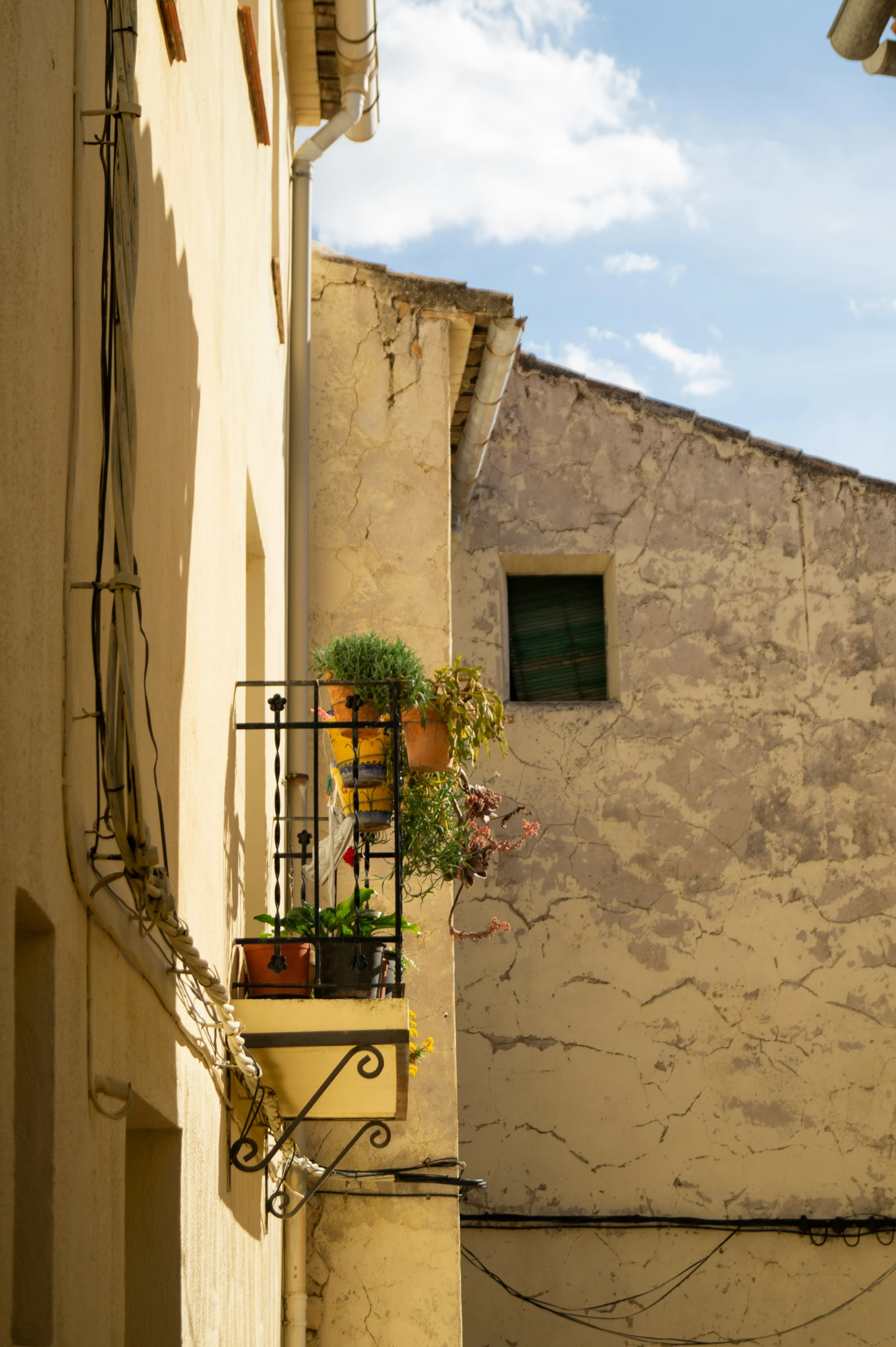 a potted plant on a balcony and another small window