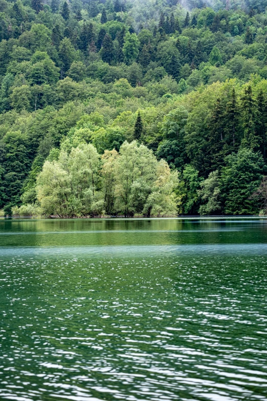 the body of water is still as green trees surround the shore