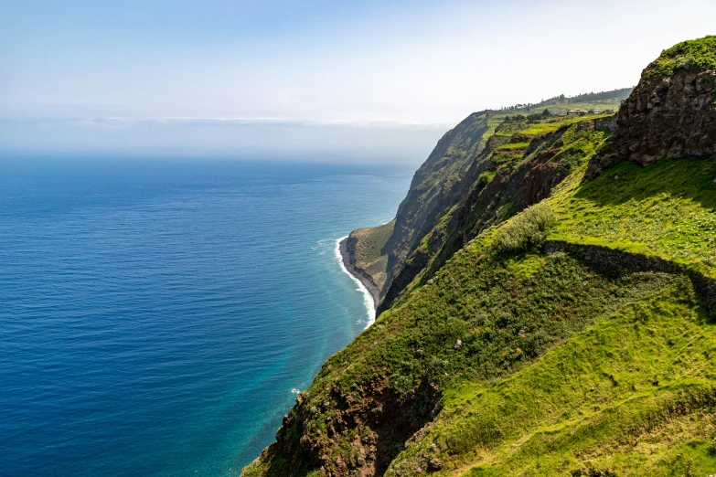 grassy hillside overlooking the ocean on a sunny day