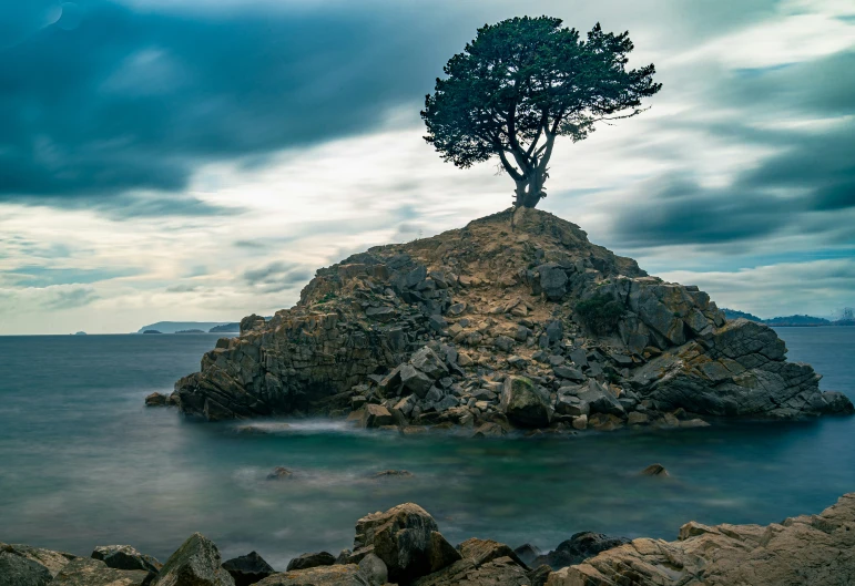 a lone tree on an island in the middle of the water