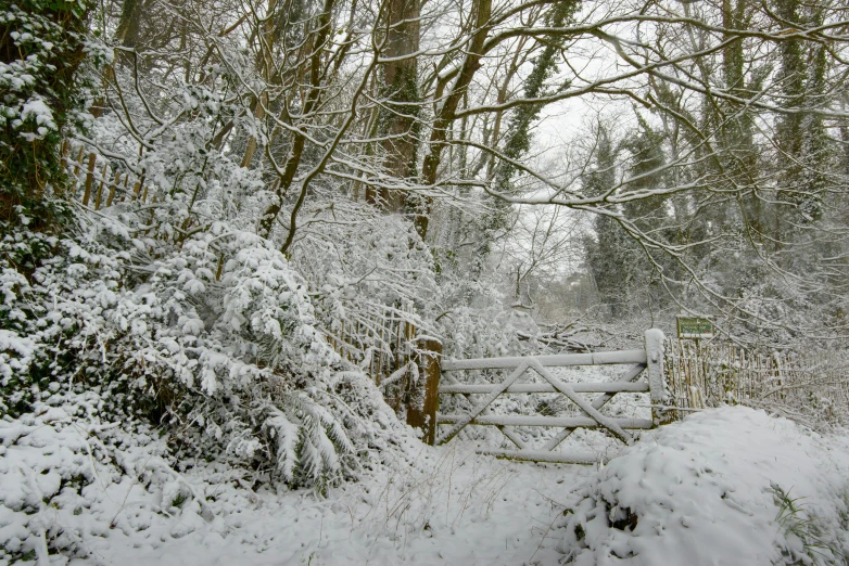 a snow covered path in the woods that has a gate in it