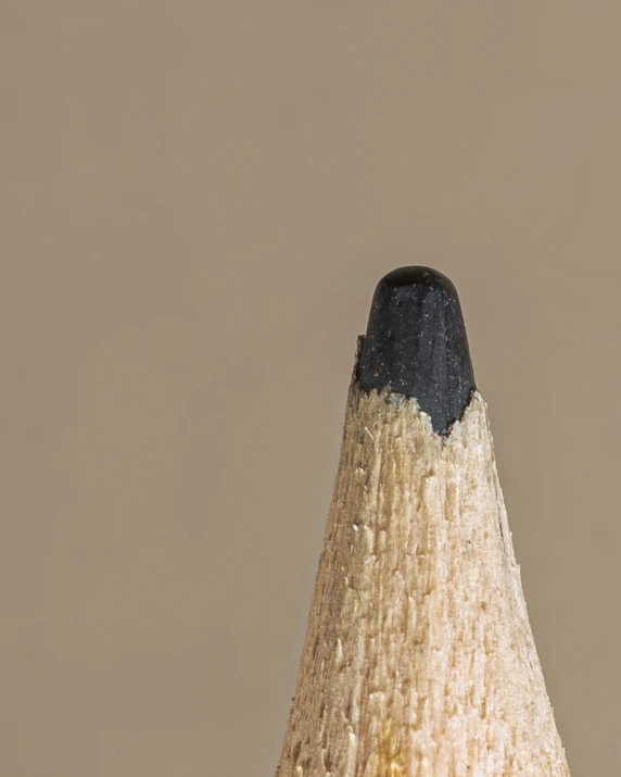 the light bulb is partially covered by a dark colored pencil
