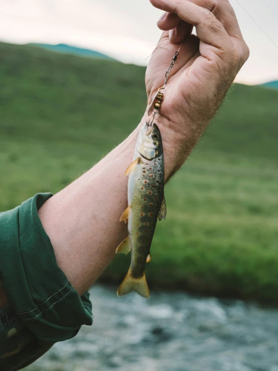 a man is holding up a fish on the wrist