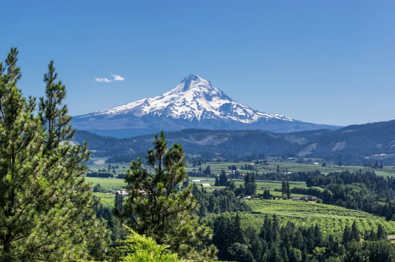 a view of a white capped mountain with green forest