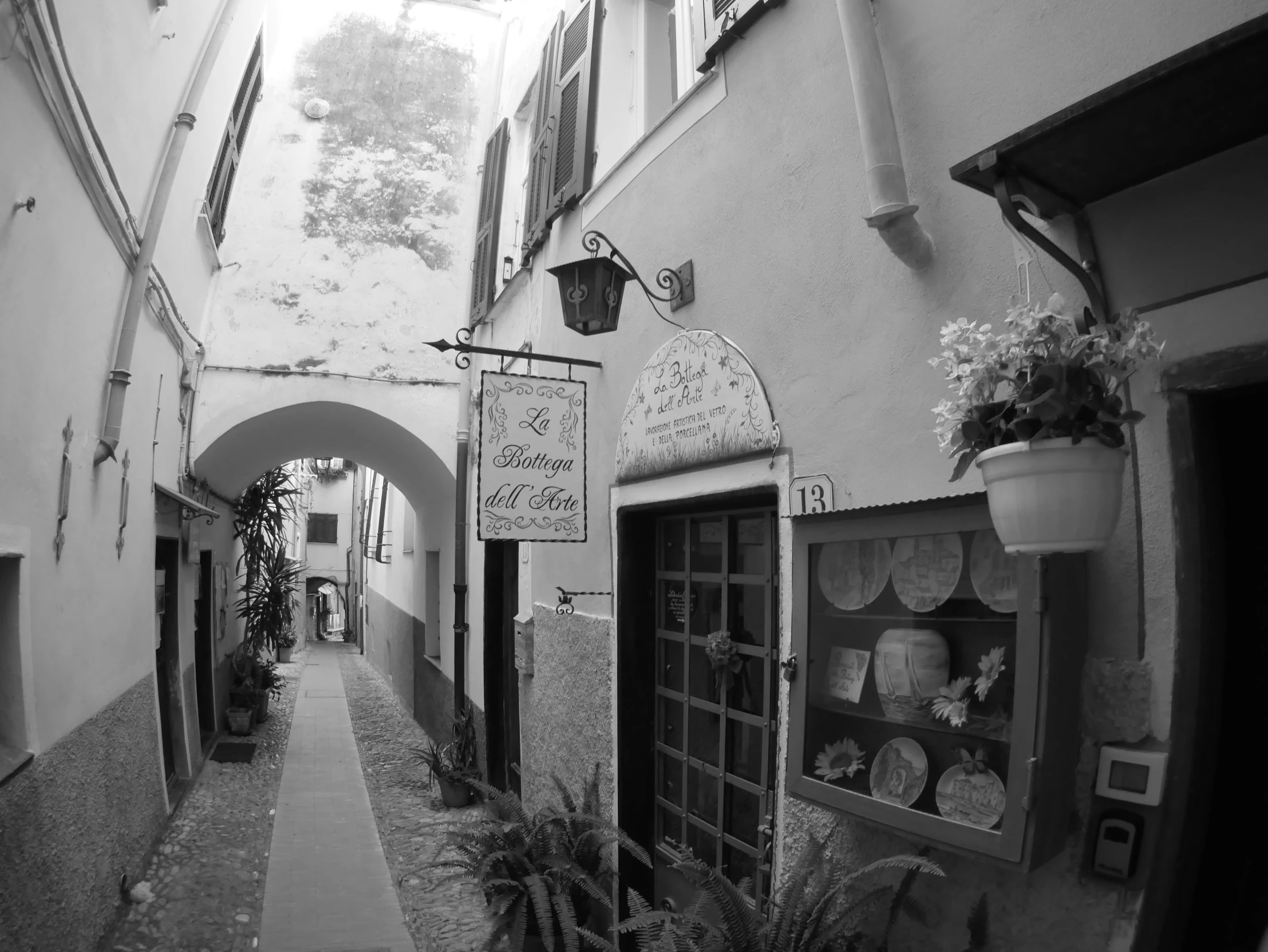 narrow alley with potted plants and shops on either side