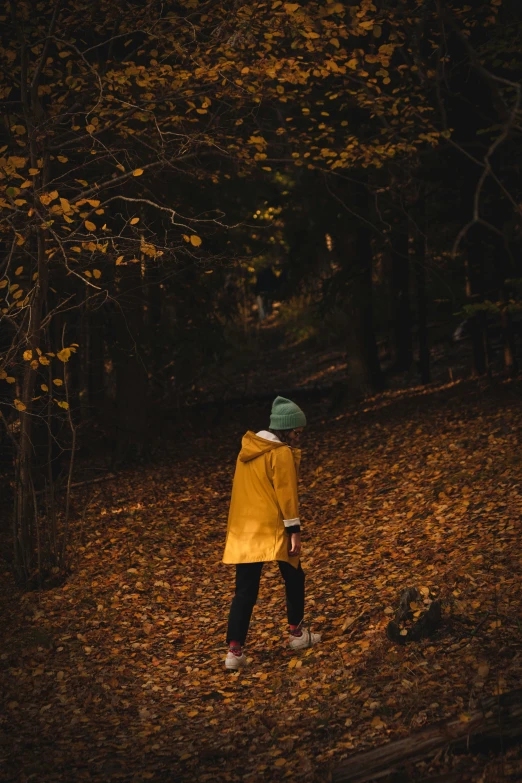 a person with a yellow jacket standing on a leaf filled path