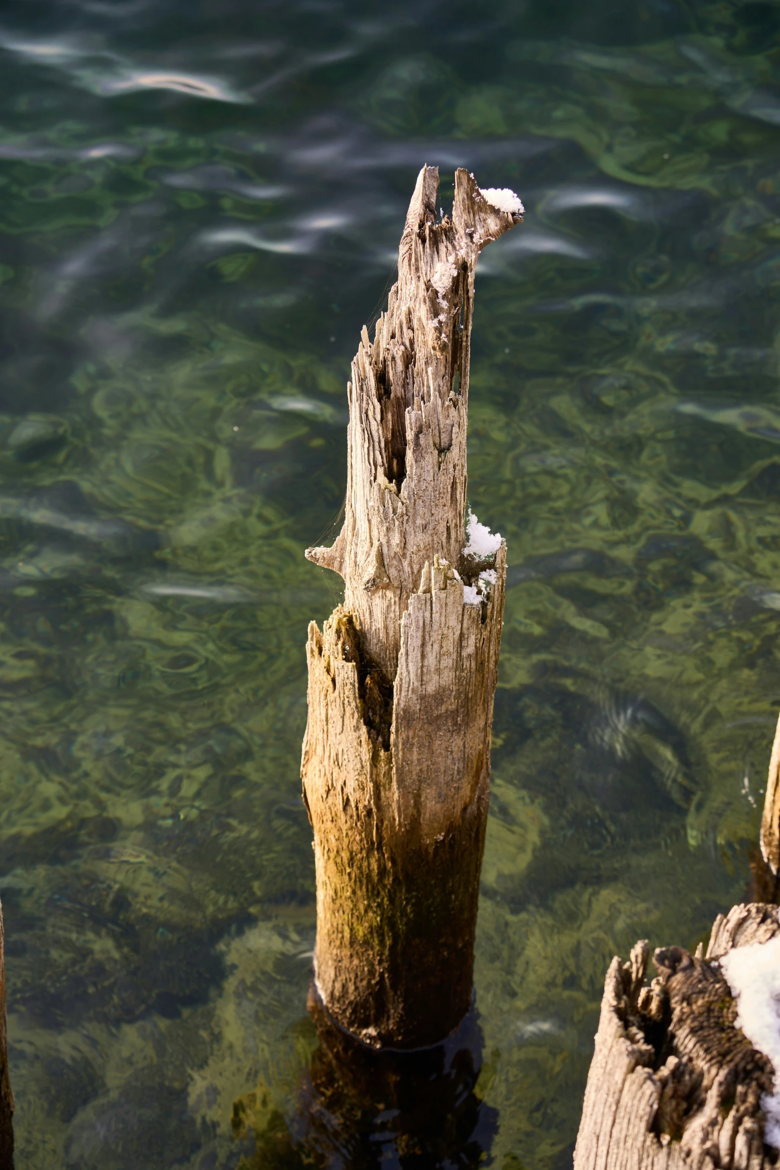 the nch of a stump is on the shore line