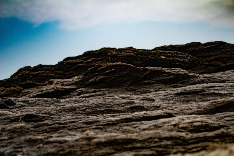 a bird is standing on the rocky terrain