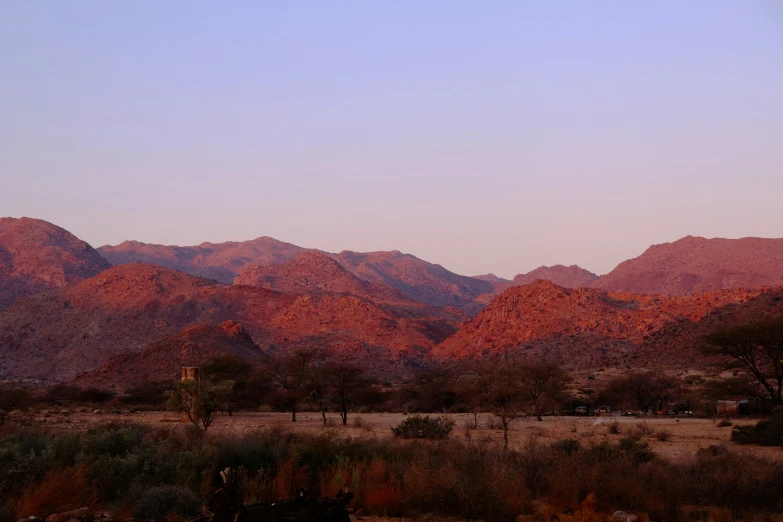 a hill covered in desert vegetation and trees