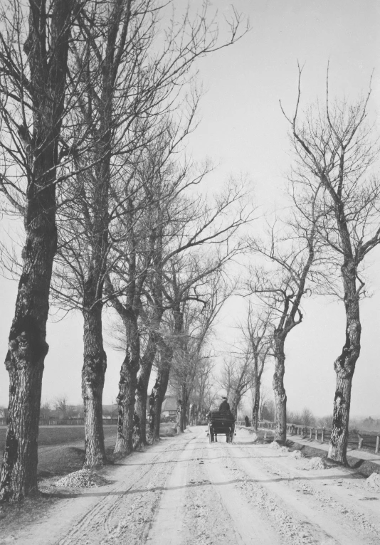 a man walking his dog in a snowy country side