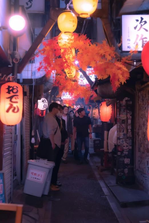 some orange lanterns trees and people are walking