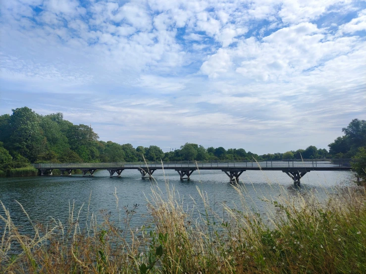 bridge over the water and grass under it