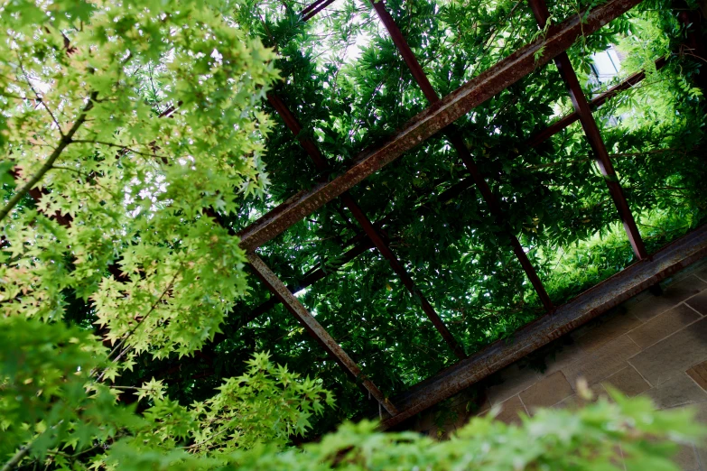 a wooden bench sitting underneath a mirror near trees