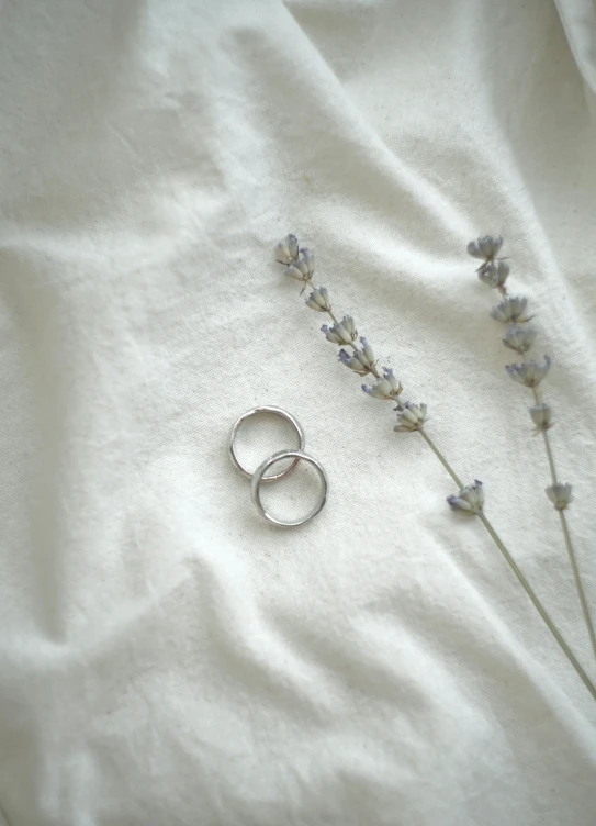 two ring rings are shown next to a tiny lavender flower