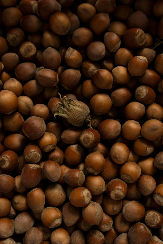 nuts piled on top of each other to form a pile