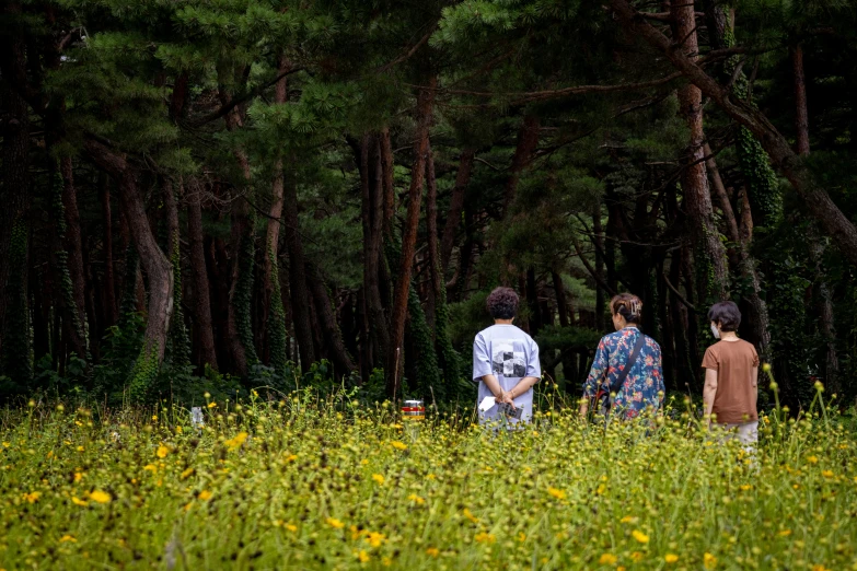 three people walking through the grass near trees