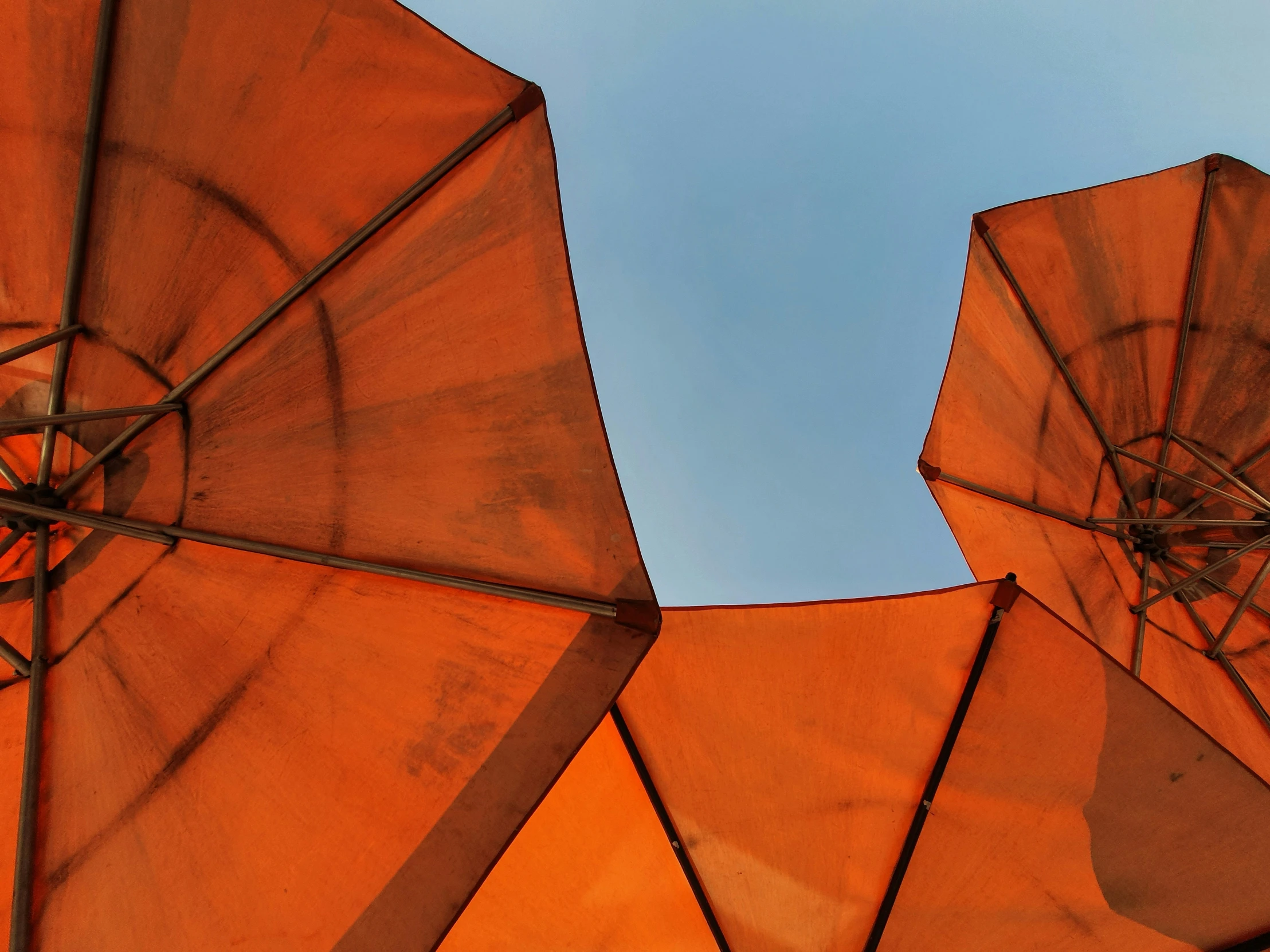 four orange umbrellas sitting up close to the sun