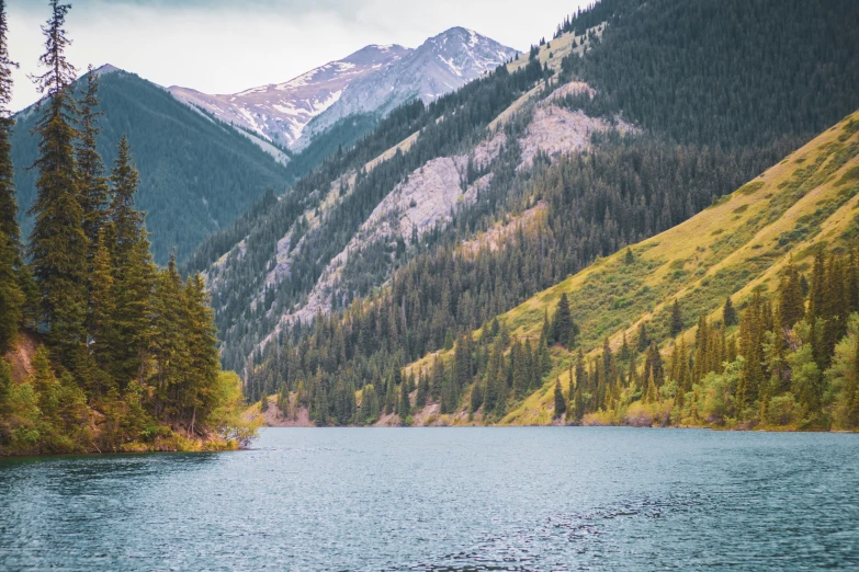 trees are in the mountains with a lake