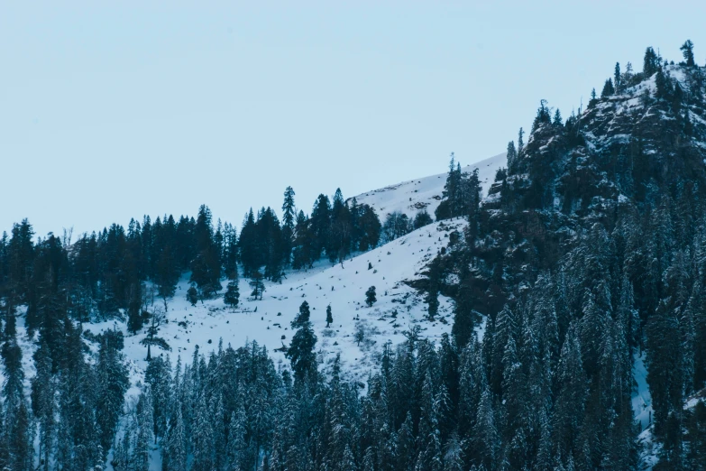 the snowy mountains are all around with trees on them