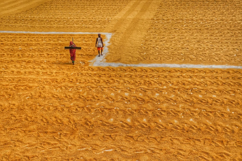 two men standing in a plowed area with some machinery