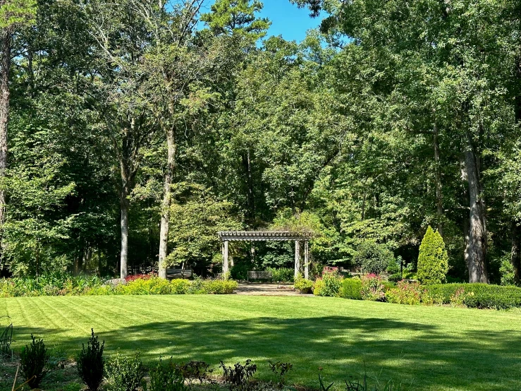 the park is empty and a bench in the grass