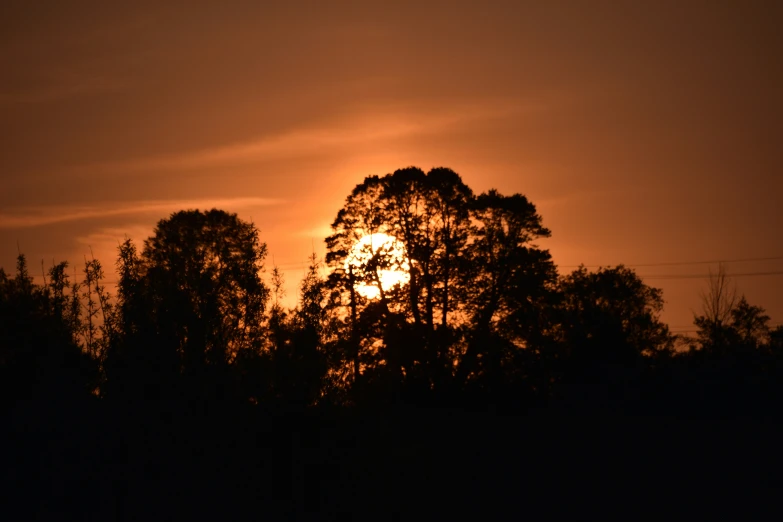 the sun sets behind a few trees near some power lines