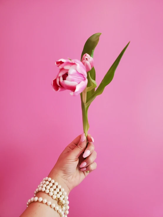 a pink background with an arm, celets, and a flower in it
