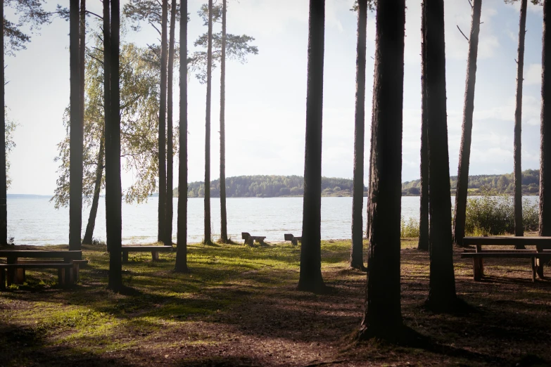 a field with some benches and trees on the other side of it