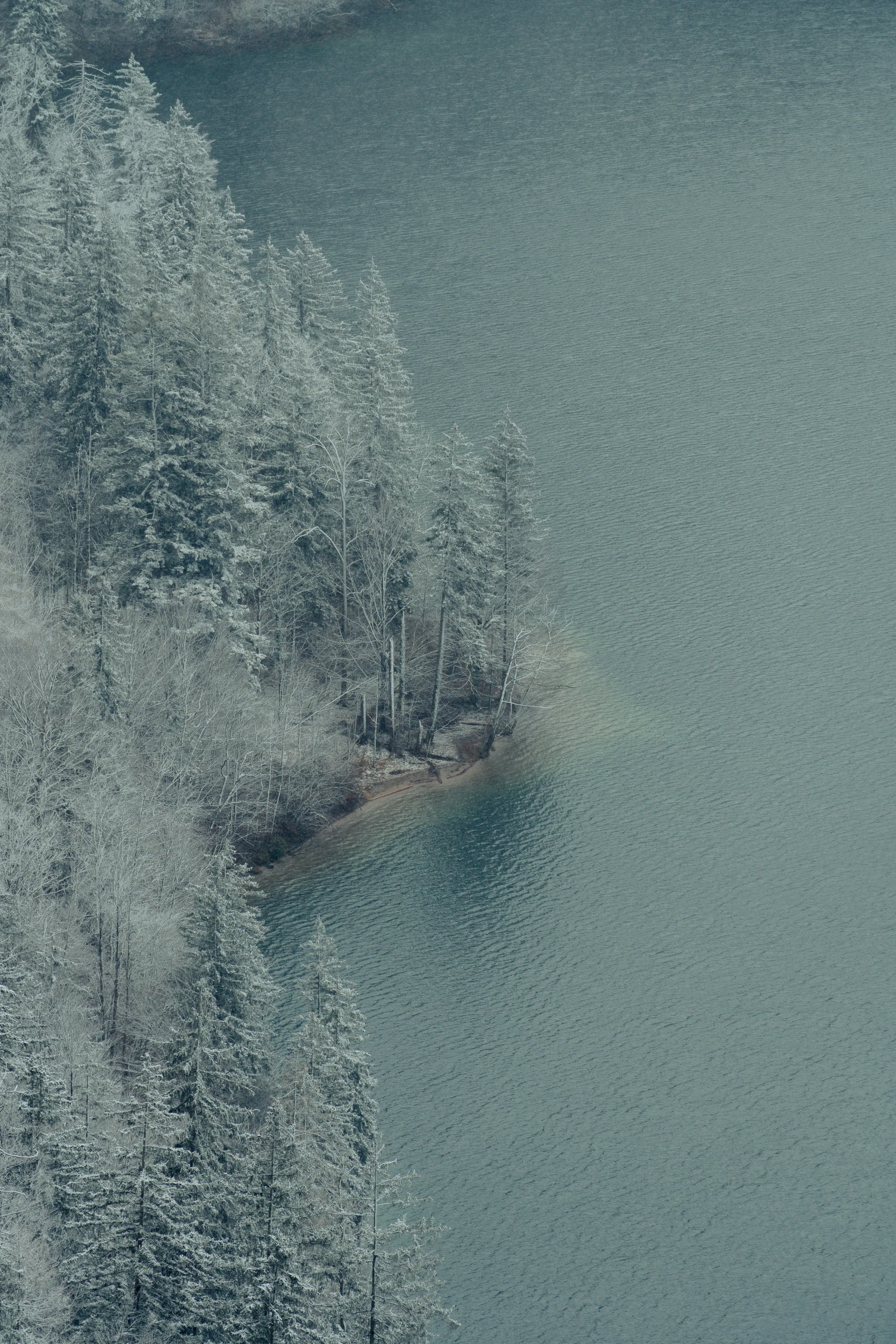 an aerial view of a tree - lined lake