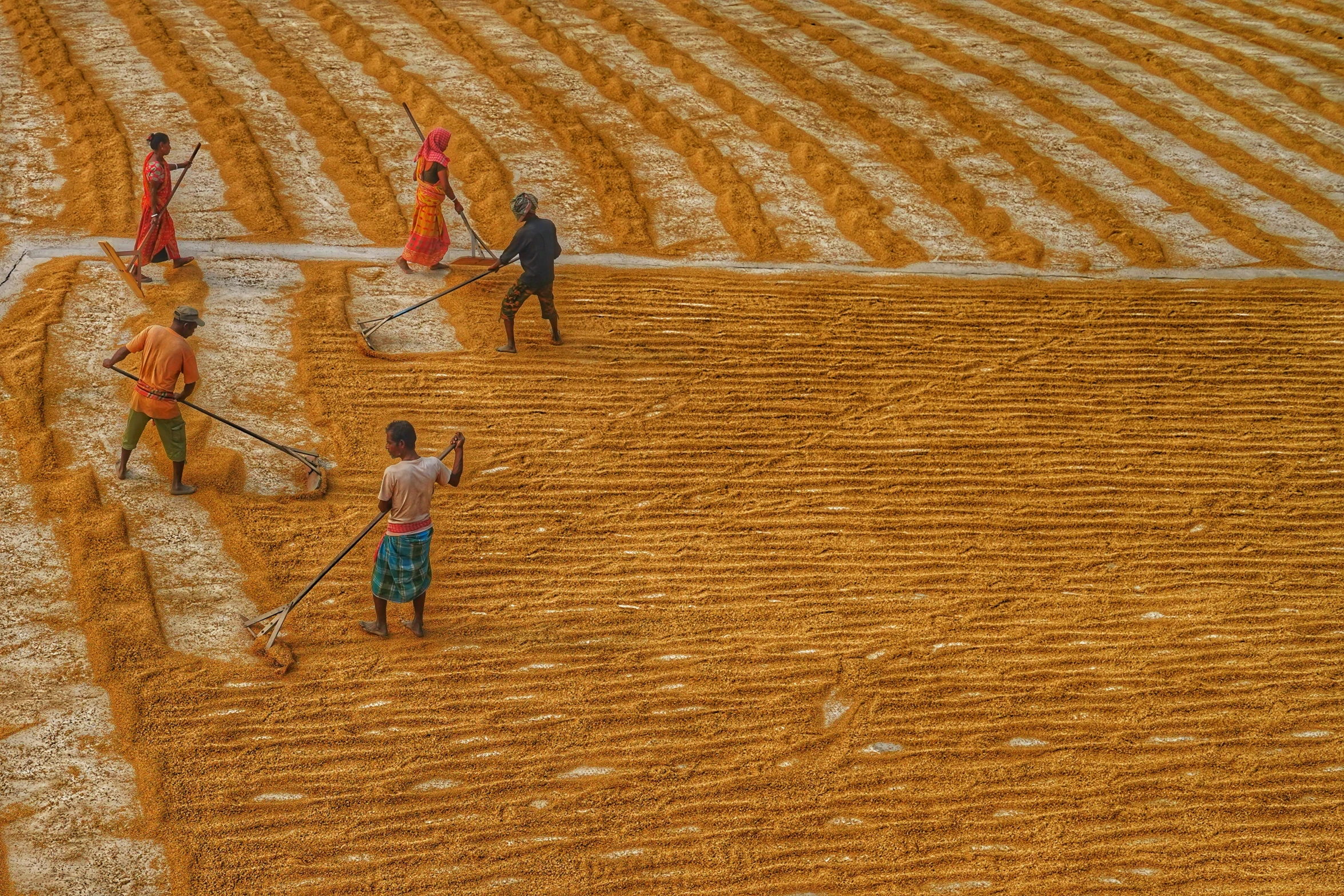 people working in an open field on an empty field