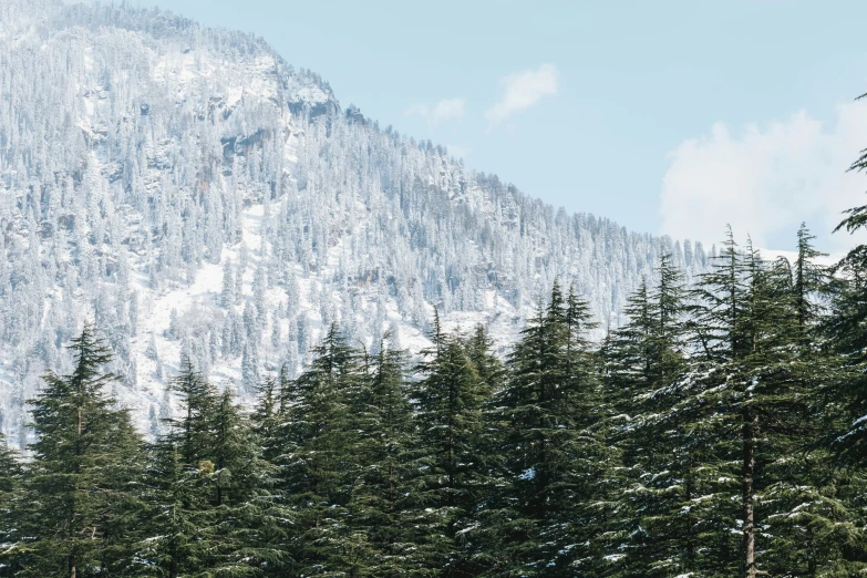 a mountain is in the distance near trees