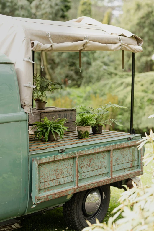 an old truck is filled with potted plants