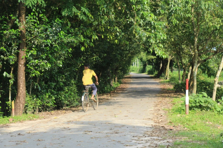 a person riding their bicycle down the road