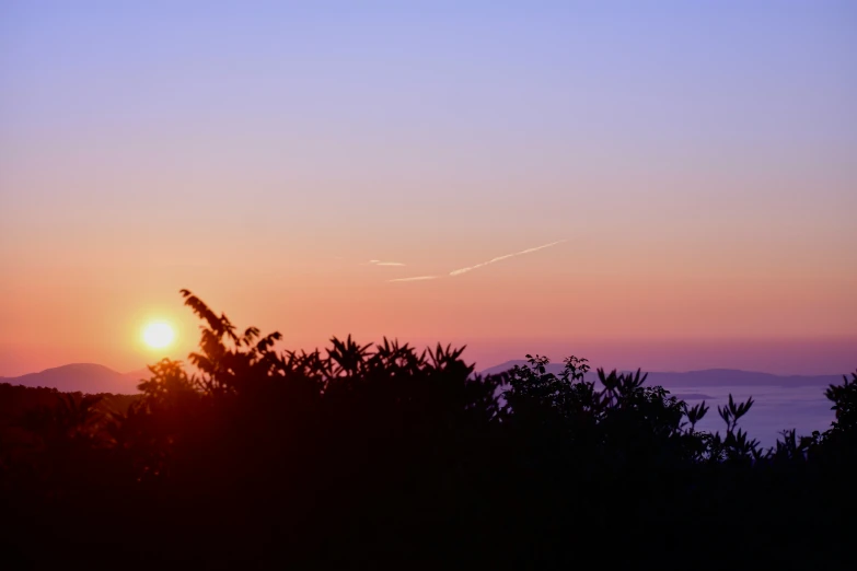 the sun sets in the horizon with trees in silhouette