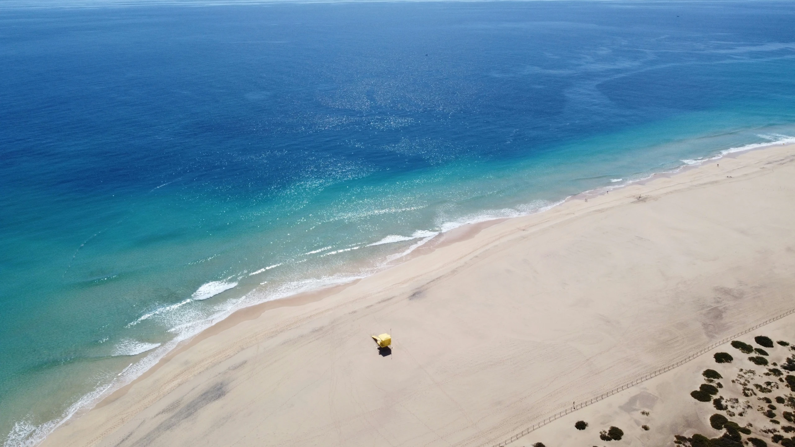 two people stand on an empty beach and ride an orange horse