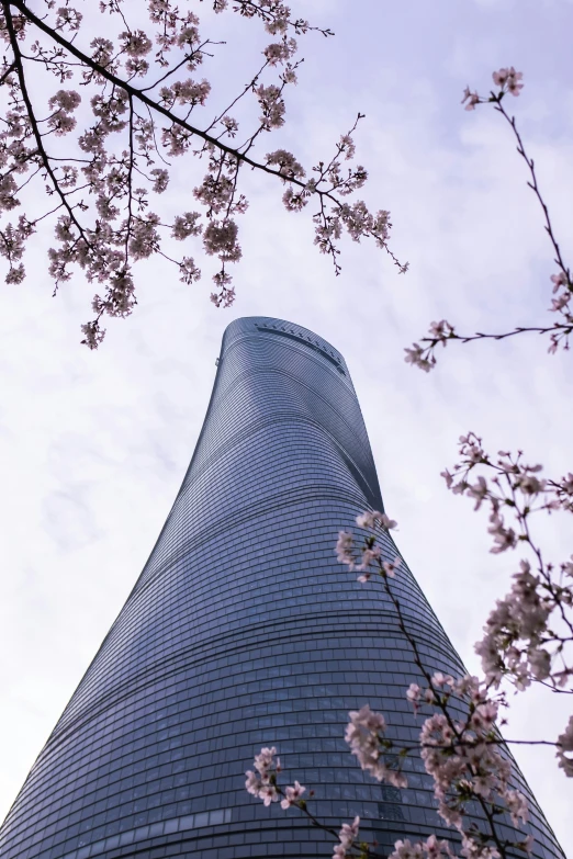 a tall building surrounded by trees in bloom