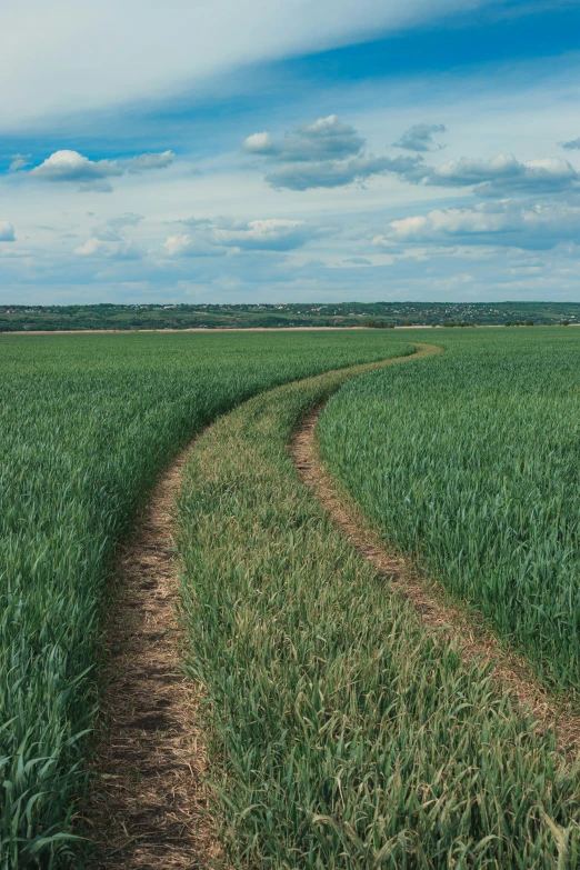 an image of an empty field with a path leading to the horizon