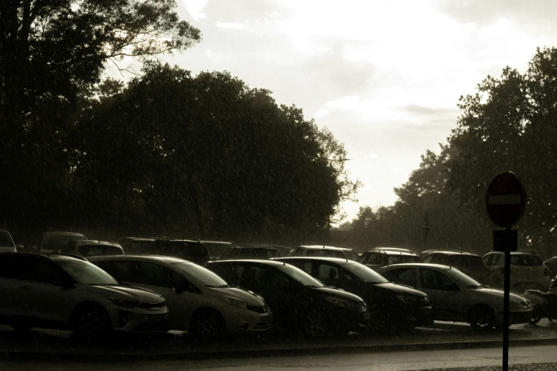 the parking lot of an automobile showroom on a dark day