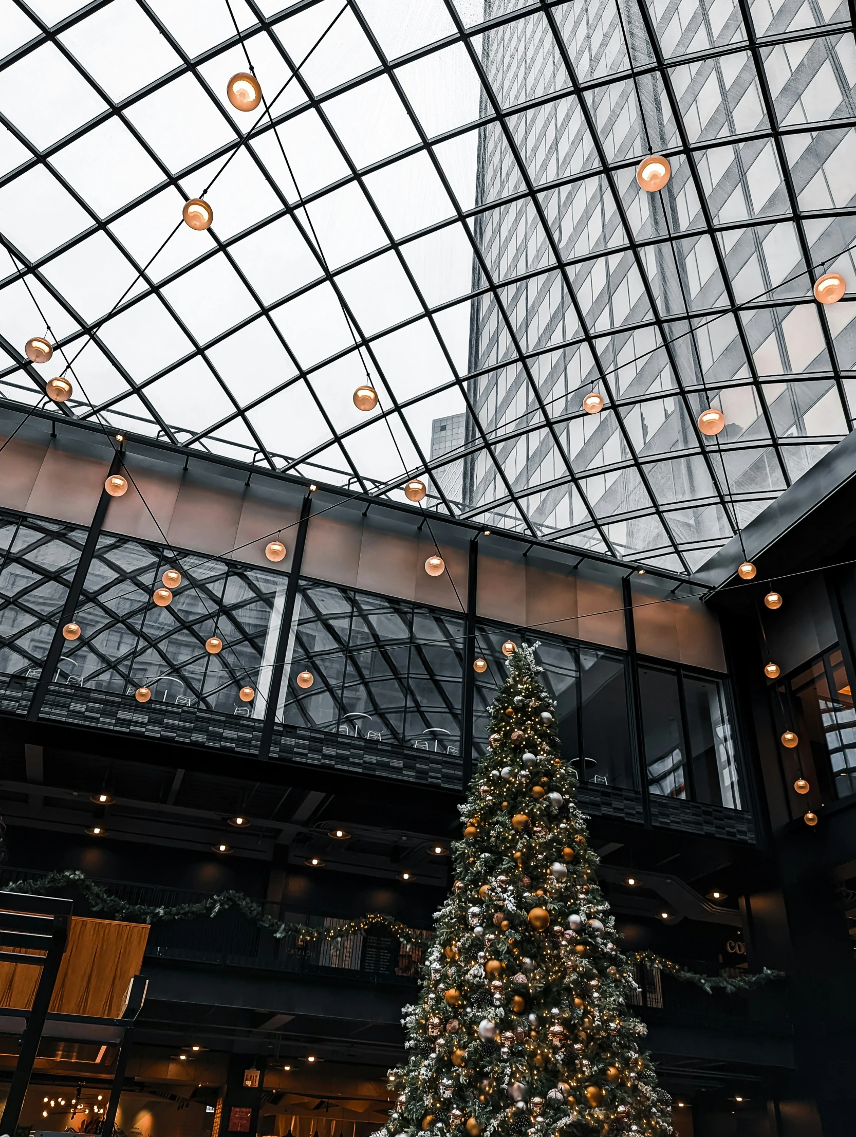 a christmas tree inside of a large building